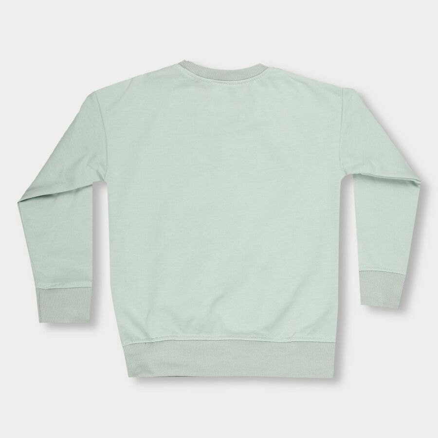 Boys Light Sage Green Crew Neck Casual Sweatshirt, हल्का हरा, large image number null