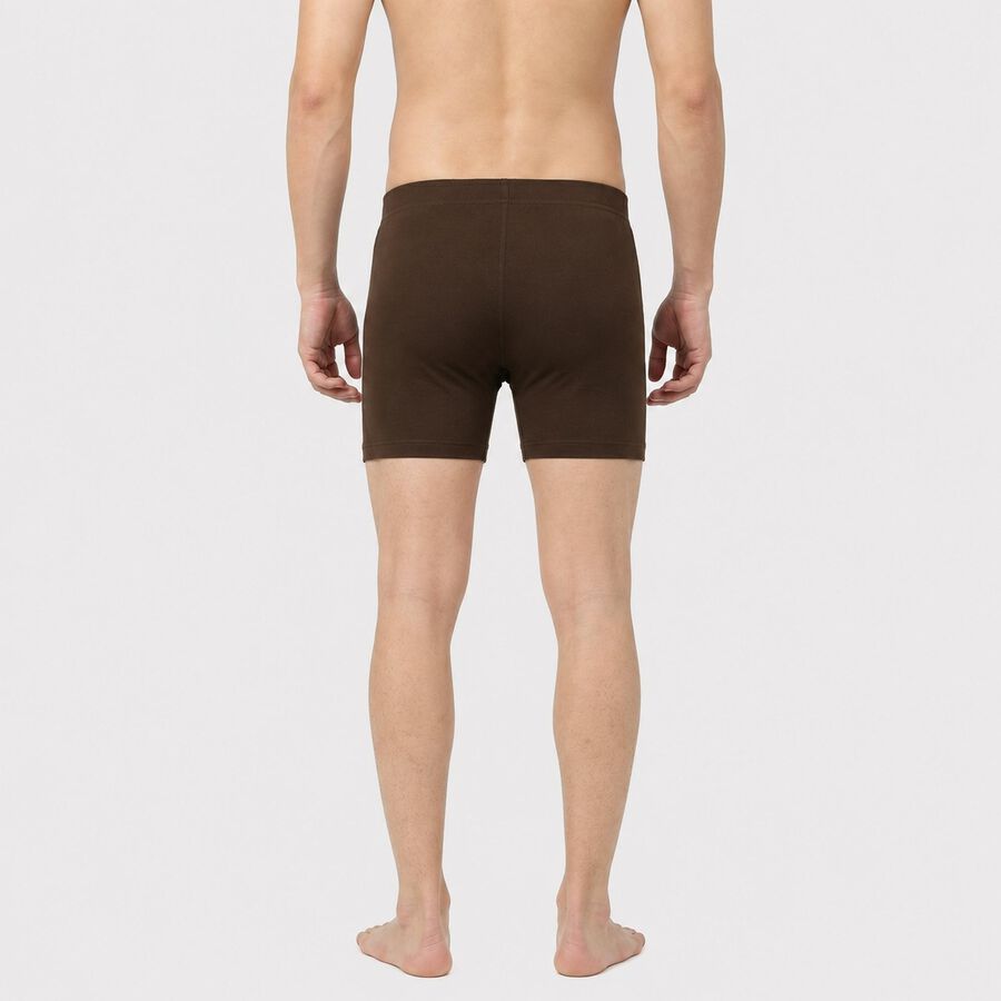 Men's Brown Regular Fit Solid Trunks, Brown, large