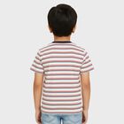 Boys Rich Eggshell White Cotton Crew Neck Casual T-Shirt, सफ़ेद, small