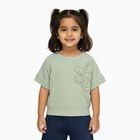Girls Light Sage Green Round Neck Casual T-Shirt, Light Green, small image number null