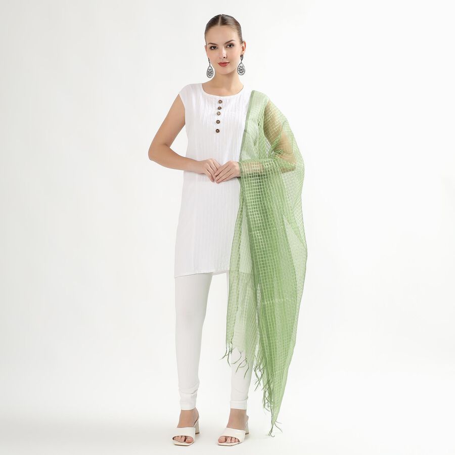 Women's Light Sage Green Checkered Dupatta, हल्का हरा, large image number null