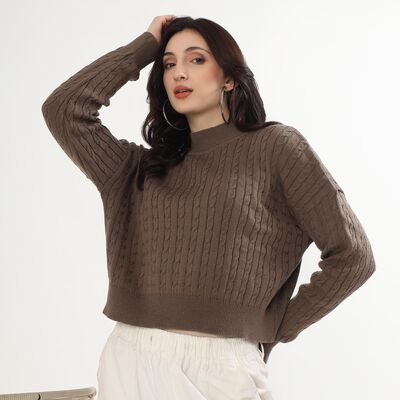 Women's Muted Beige Crew Neck Casual Pullover