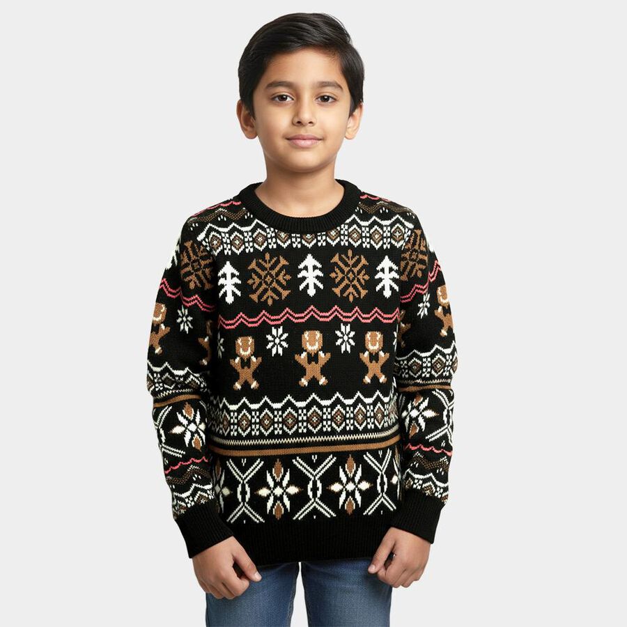 Boys Deep Charcoal Black Crew Neck Casual Pullover, Dark Green, large image number null