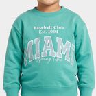 Boys' Light Green Crew Neck Pullover Sweatshirt, हल्का हरा, small