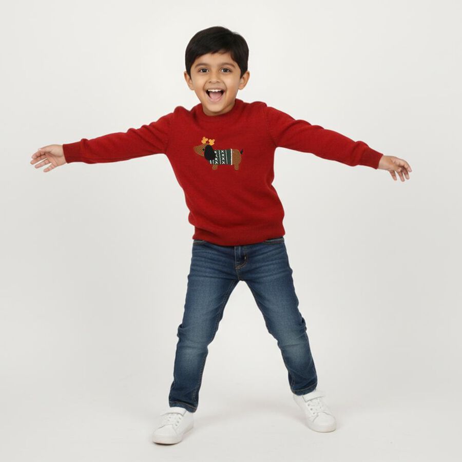 Boys Bright Cherry Red Crew Neck Casual Pullover, लाल, large image number null