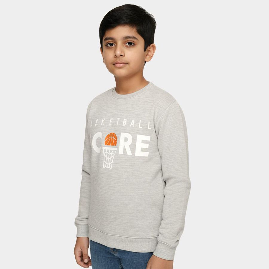Boys Light Grey Crew Neck Graphic Sweatshirt, Ecru Melange, large image number null