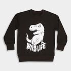 Boys Dark Charcoal Black Crew Neck Casual Sweatshirt, ओलिव, small image number null