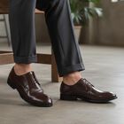Men's Brown Lace-Up Derby Formal Shoes, Brown, small