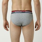 Men's Grey Cotton Regular Fit Briefs, मिश्रित हल्का ग्रे, small