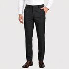 Men's Navy Blue Slim Fit Checked Formal Trousers, Navy Blue, small