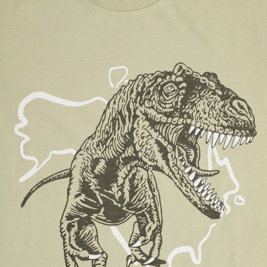 Boys' Half Sleeves T-Shirt, हल्का हरा, large image number null