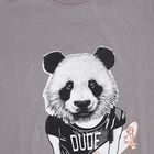 Boys Light Grey Crew Neck Casual T-Shirt, Light Grey, small image number null