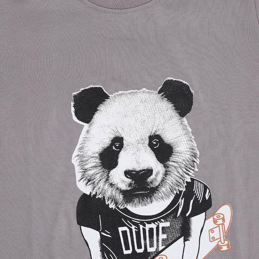 Boys Light Grey Crew Neck Casual T-Shirt, Light Grey, large image number null