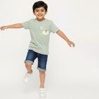 Boys Light Sage Green Cotton Crew Neck Casual T-Shirt, Light Green, small image number null