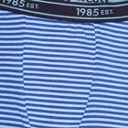 Boys' Bright Royal Blue Regular Fit Striped Briefs, Mid Blue, small image number null