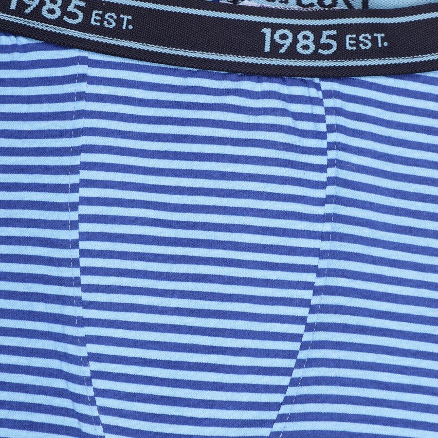 Boys' Bright Royal Blue Regular Fit Striped Briefs, Mid Blue, large image number null