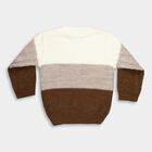 Infants Brown and Beige Crew Neck Cable Knit Pullover, भूरा, small image number null