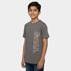 Boys' Charcoal Crew Neck Graphic Printed T-Shirt, Charcoal, small