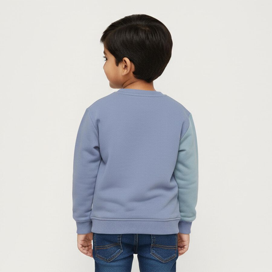 Boys' Sweatshirt, हल्का नीला, large image number null