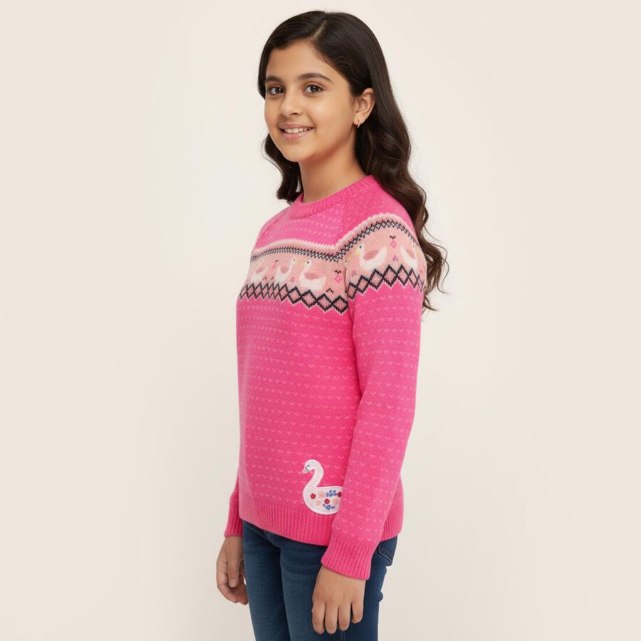 Girls' Bright Pink Crew Neck Casual Pullover, Pink, large image number null
