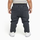 Infants' Dark Grey Regular Fit Embroidered Jeans, हल्का ग्रे, small image number null