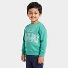 Boys' Light Green Crew Neck Pullover Sweatshirt, हल्का हरा, small