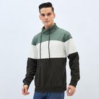 Men's Sweatshirt, Light Grey, small image number null