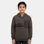 Boys Dark Grey Hooded Graphic Sweatshirt, चारकोल, small image number null