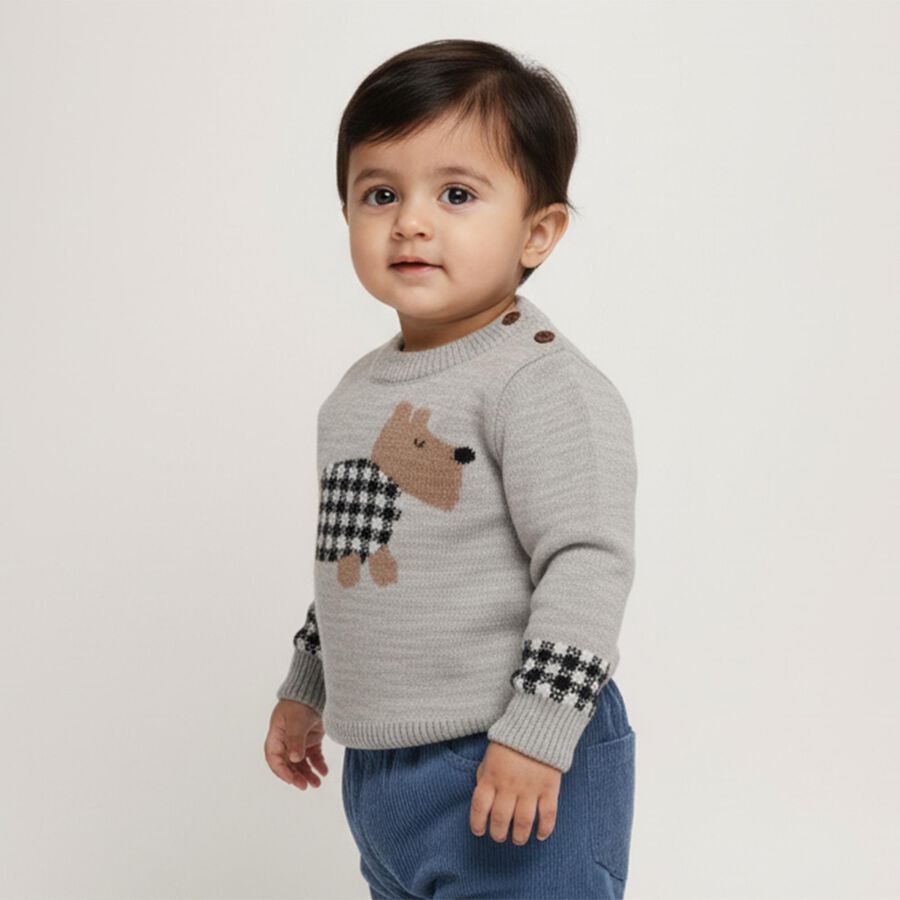 Infants Light Grey Crew Neck Casual Pullover, हल्का ग्रे, large image number null