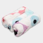 Ladies' Hanky, Assorted, small image number null