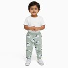 Infants Light Sage Green Dinosaur Printed Cotton Pyjama, हल्का हरा, small image number null