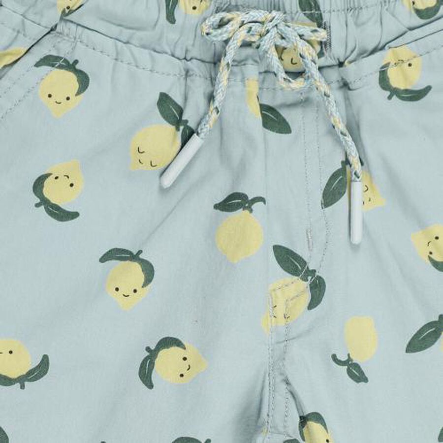Boys' Light Blue Printed Elastic Waist Bermuda Shorts, Light Green, large image number null