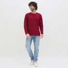 Men's Rich Maroon Crew Neck Casual T-Shirt, मरून, small image number null