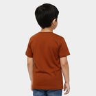 Boys' Half Sleeves T-Shirt, Brown, small