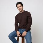 Men's Brown Crew Neck Pullover, Brown, small