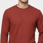Men's Rust Crew Neck Regular T-Shirt, रस्ट, small