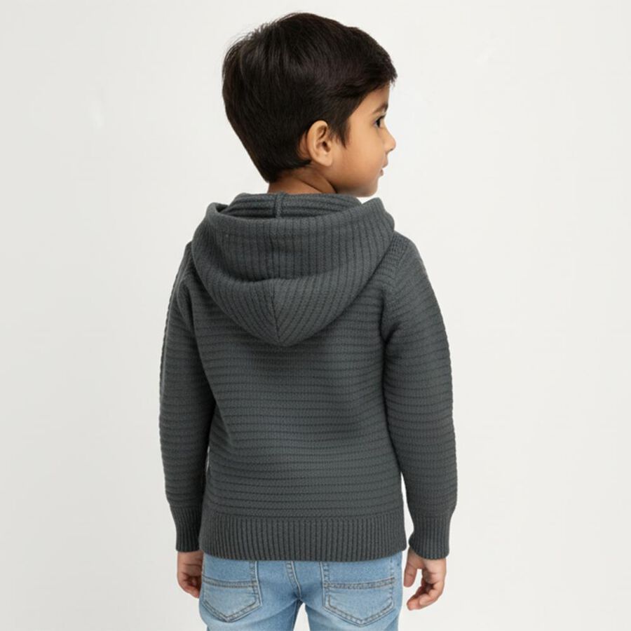 Boys Dark Grey Hooded Knit Pullover, हल्का हरा, large image number null