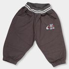 Infants Charcoal Grey Elastic Waist Embroidered Trousers, गहरा ग्रे, small image number null
