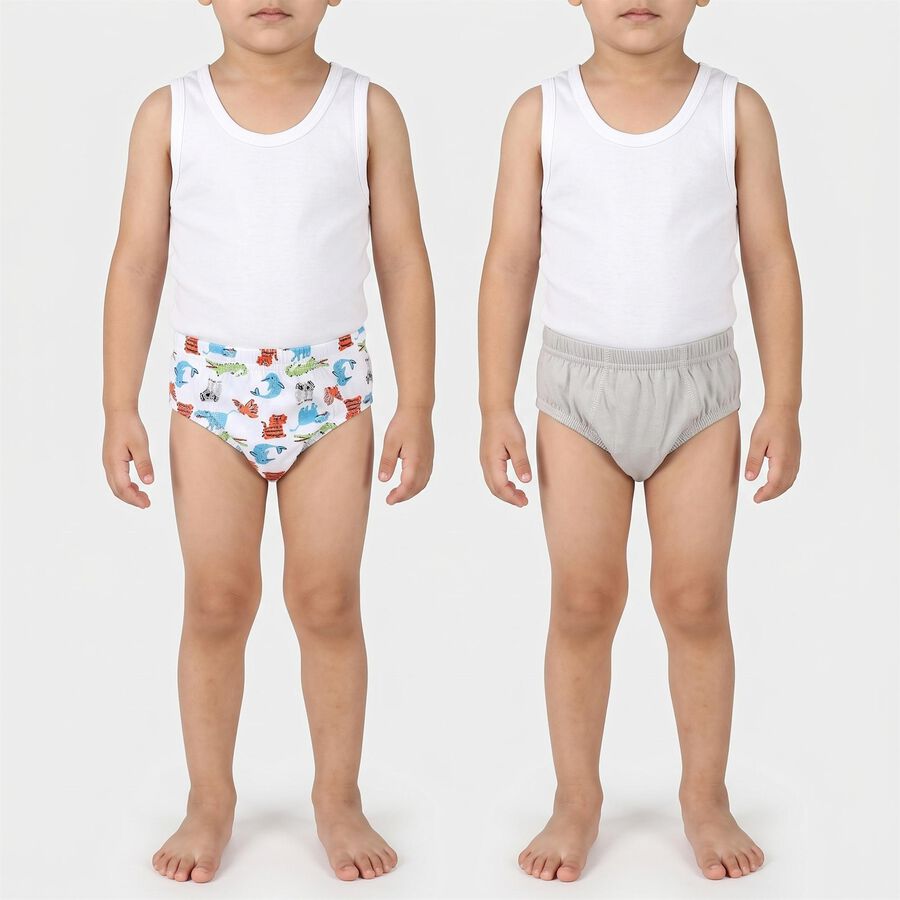 Boys Grey Regular Fit Printed Briefs, Light Grey, large
