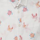 Boys White Cotton Collar Regular Fit Shirt, White, small