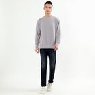 Men's Light Grey Crew Neck Textured Sweatshirt, हल्का ग्रे, small image number null