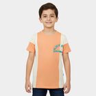 Boys Orange Cotton Round Neck Casual Half Sleeve T-Shirt, Orange, small