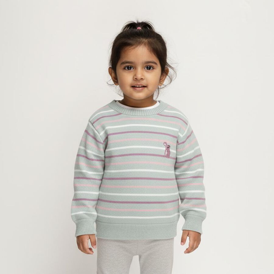Infants Light Sage Green Crew Neck Striped Pullover, Light Green, large image number null
