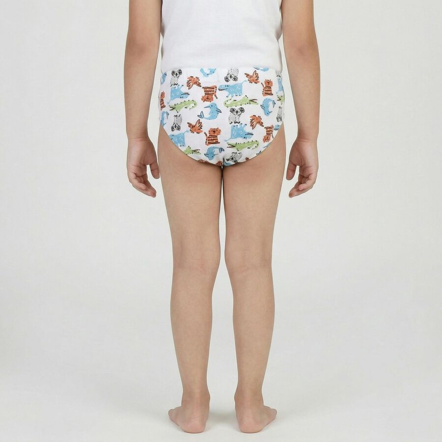 Boys White Regular Fit Printed Briefs, Off White, large