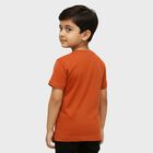 Boys Burnt Orange Cotton Round Neck Casual T-Shirt, Brown, small