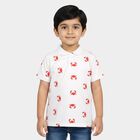 Boys White Cotton Round Neck Casual Boys T-Shirt, सफ़ेद, small
