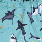 Boys' 100% Cotton Jamaicans, Light Blue, small image number null