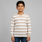 Boys Beige and White Round Neck Casual T-Shirt, भूरा, small image number null