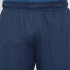 Solid Shorts, Navy Blue, small image number null