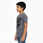 Boys Dark Grey Crew Neck Casual Half Sleeve T-Shirt, Dark Grey, small image number null
